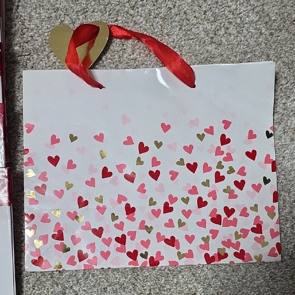 Celebrate It Valentine's Day Gift Bags - Red, Pink, White